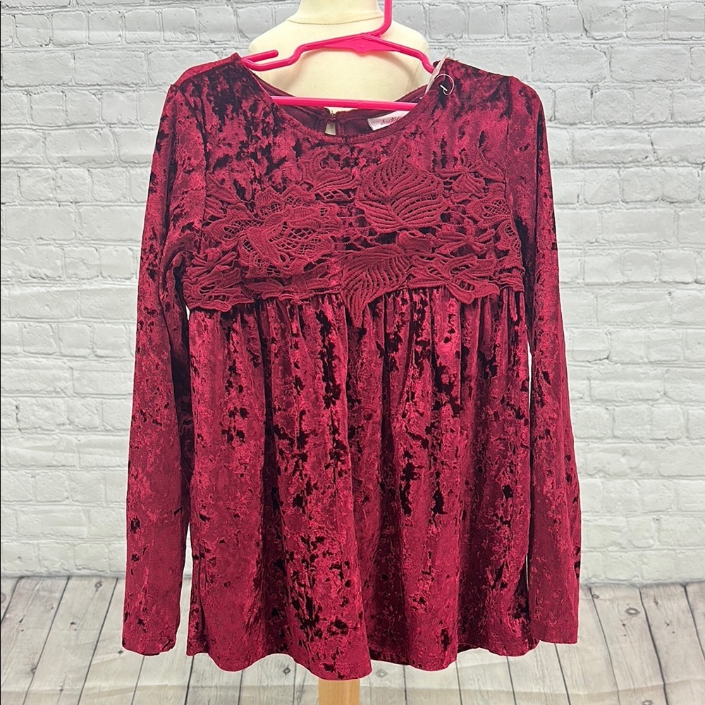 Daytrip Red Velvet Smocked Blouse‎